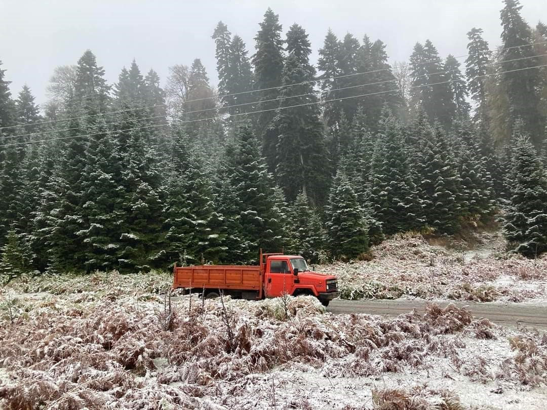 Mevsimin ilk karı yağdı: Bin 725 rakımlı yayla kısmen beyaza büründü