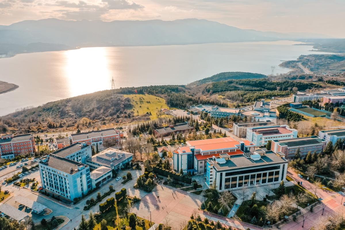 Sakarya Üniversitesi Öğretim Üyeleri, 