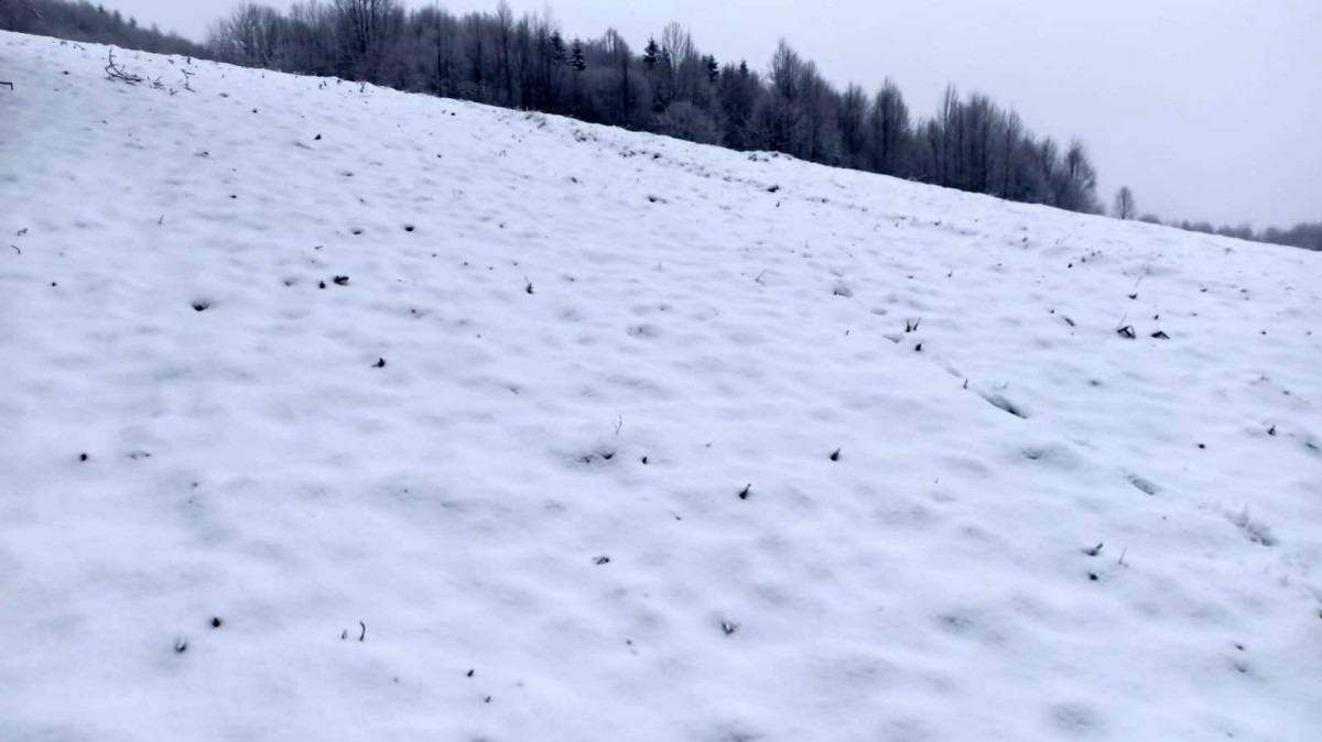 Sakarya’nın yüksek kesimleri yeniden beyaz gelinliğini giydi