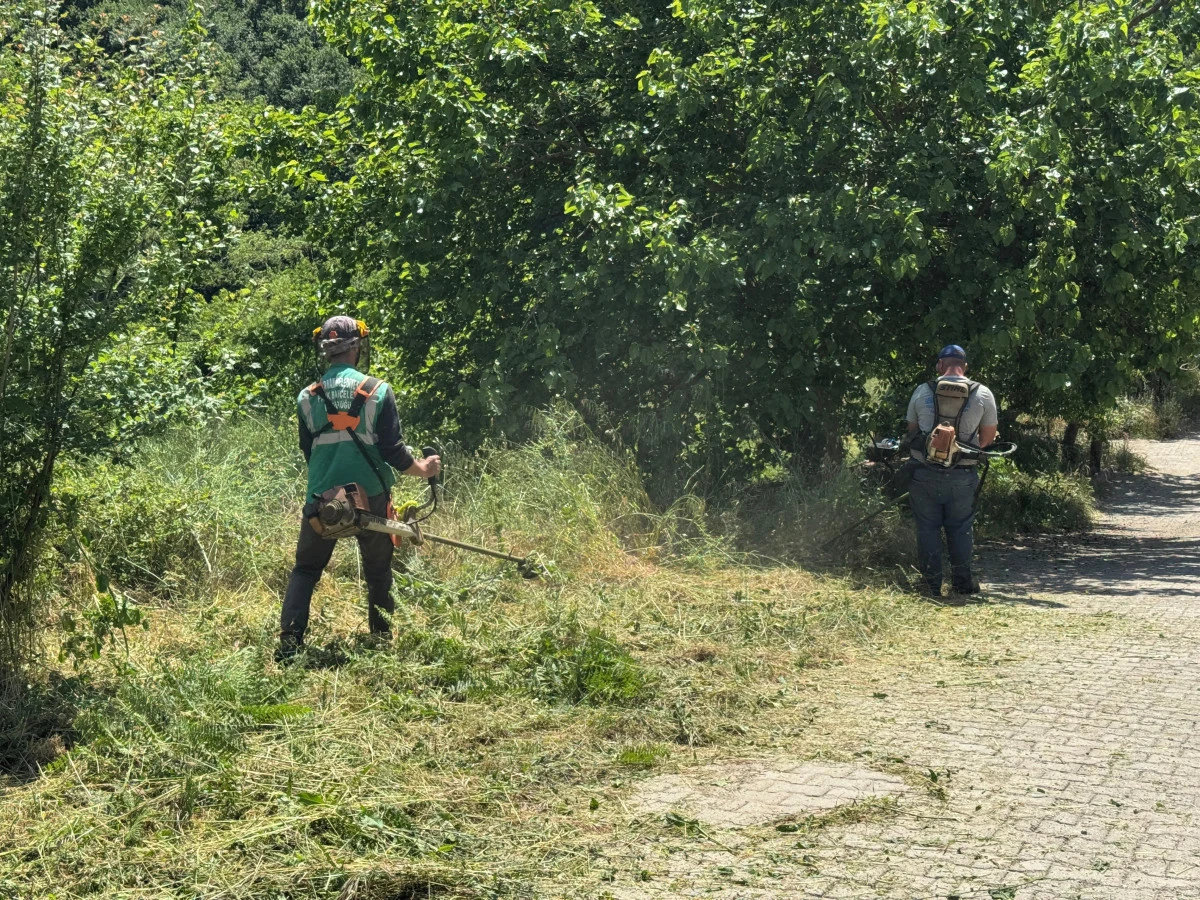 Serdivan Belediyesi’nden Çevre Düzenlemesine Yönelik Titiz Çalışma
